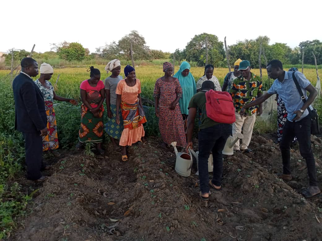 Unsplashed background img 1